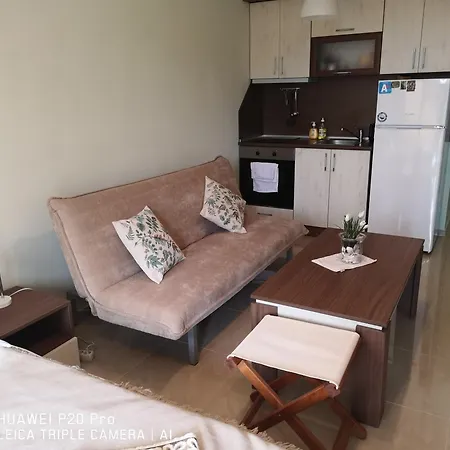 Apartament Gabi *